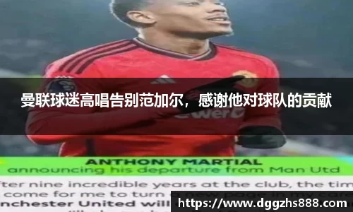 bsports官网入口
