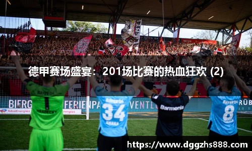 德甲赛场盛宴：201场比赛的热血狂欢 (2)