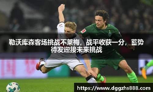 bsports官网入口