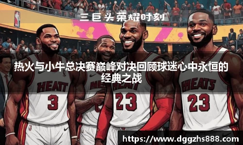 热火与小牛总决赛巅峰对决回顾球迷心中永恒的经典之战