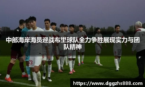 bsports官网入口