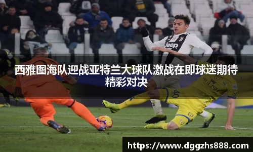 bsports官网入口