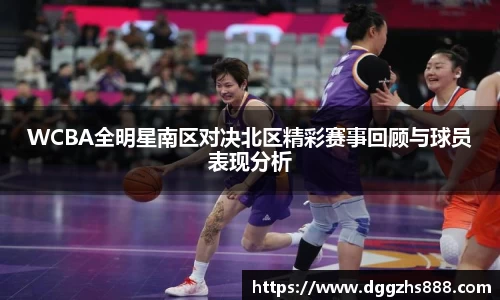 B体育bsports
