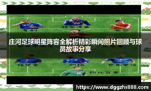 bsports官网入口